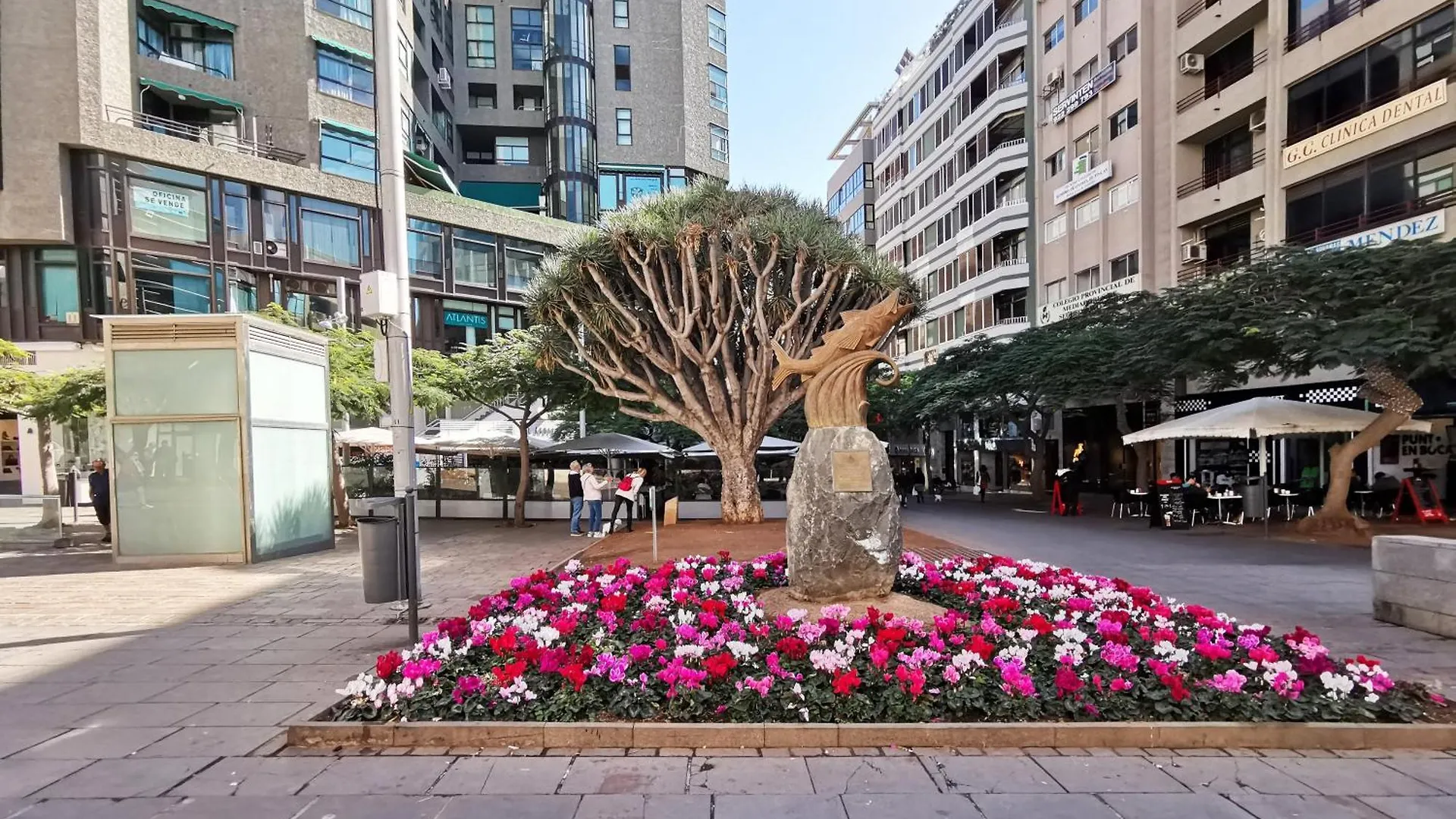 Home2Book Cozy Apt La Marina, Santa Cruz Center Διαμέρισμα